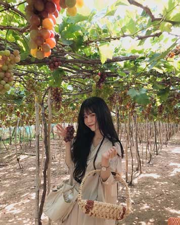 Rượu vang ý 1985 Rosso