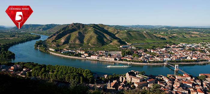 Khu vực Rhône Hermitage AOC