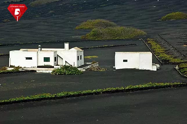 Vùng đất làm rượu vang đặc biệt của Tây Ban Nha