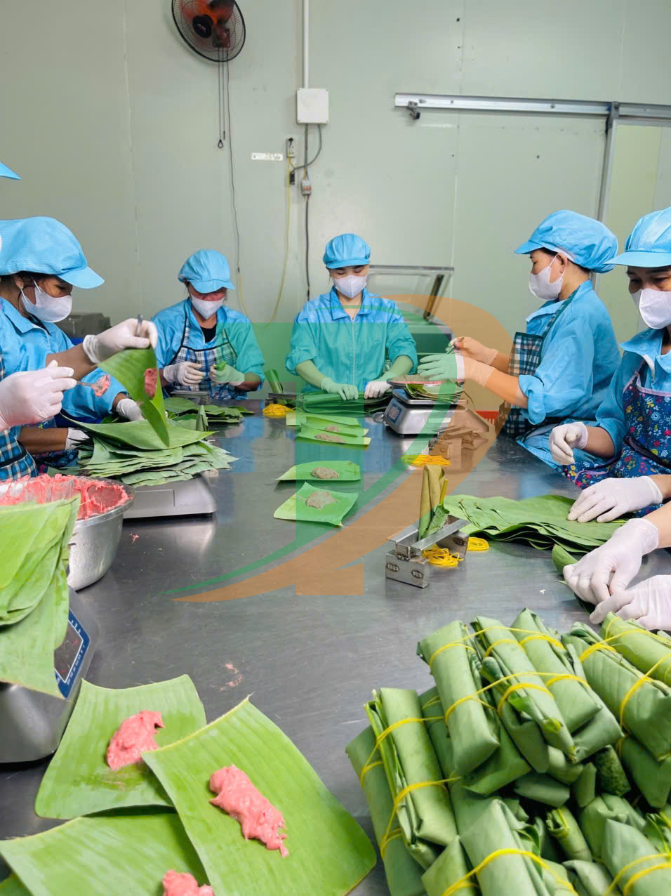 Nhà máy sản xuất giò nóng Tứ Phương