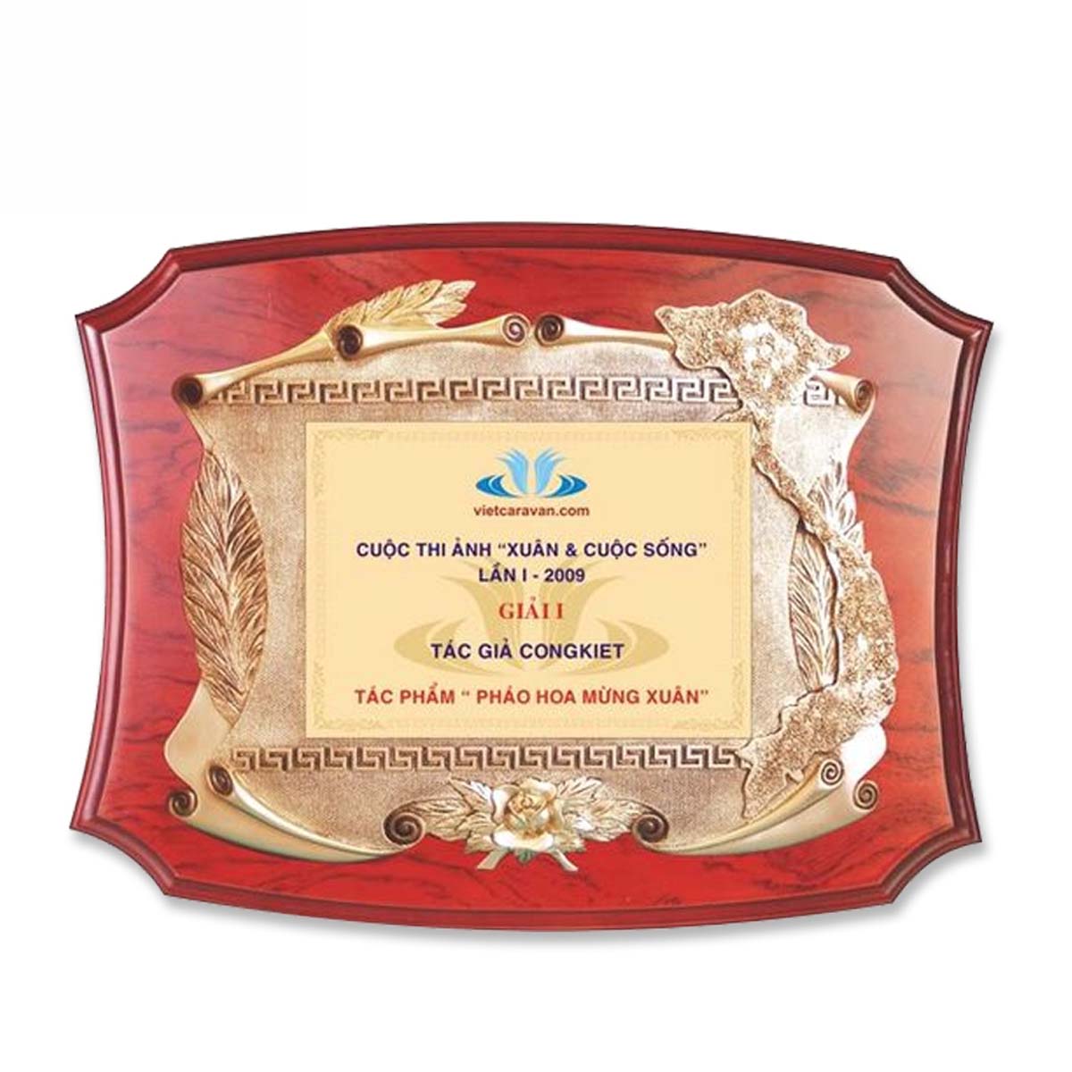 Bang-Vinh-Danh-Go-Dong-2714STV