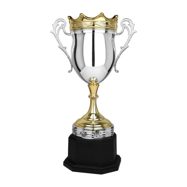 CÚP NGHỆ THUẬT – 91B601