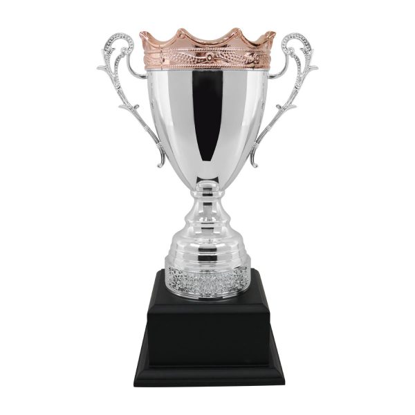 CÚP NGHỆ THUẬT – 91D604