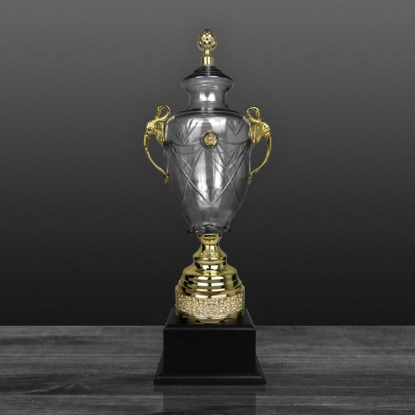 CÚP NGHỆ THUẬT – 91V501