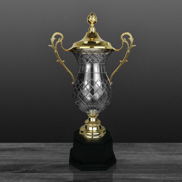 CÚP NGHỆ THUẬT – 91V502