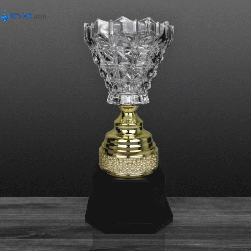 CÚP NGHỆ THUẬT – 91V503