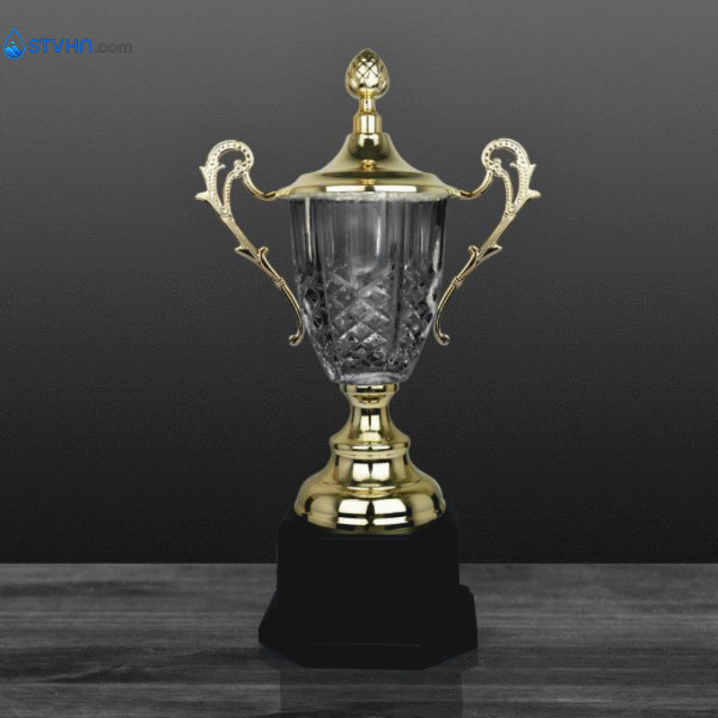 CÚP NGHỆ THUẬT – 91V504