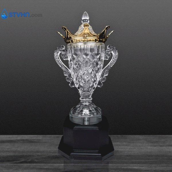 CÚP NGHỆ THUẬT – 91V505