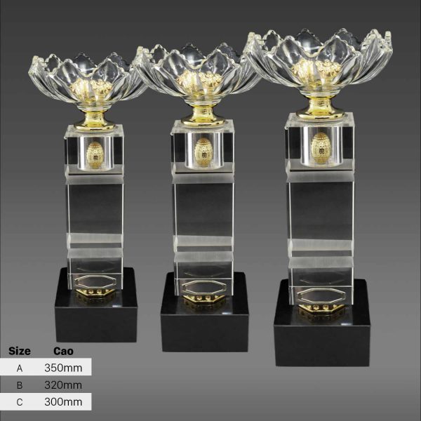 CÚP NGHỆ THUẬT – 91V510