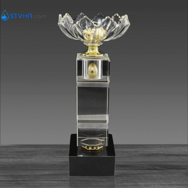 CÚP NGHỆ THUẬT – 91V510