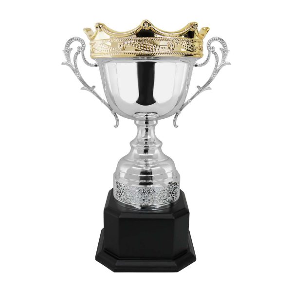 CÚP NGHỆ THUẬT – 91V603