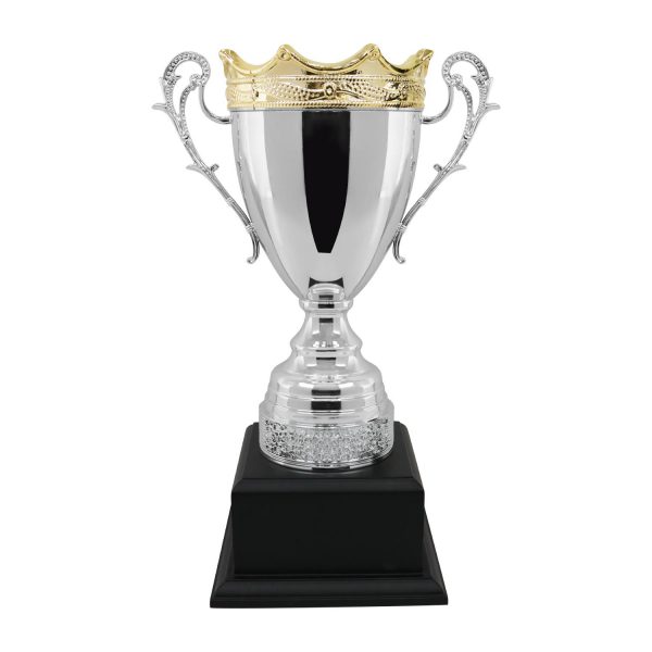 CÚP NGHỆ THUẬT – 91V604