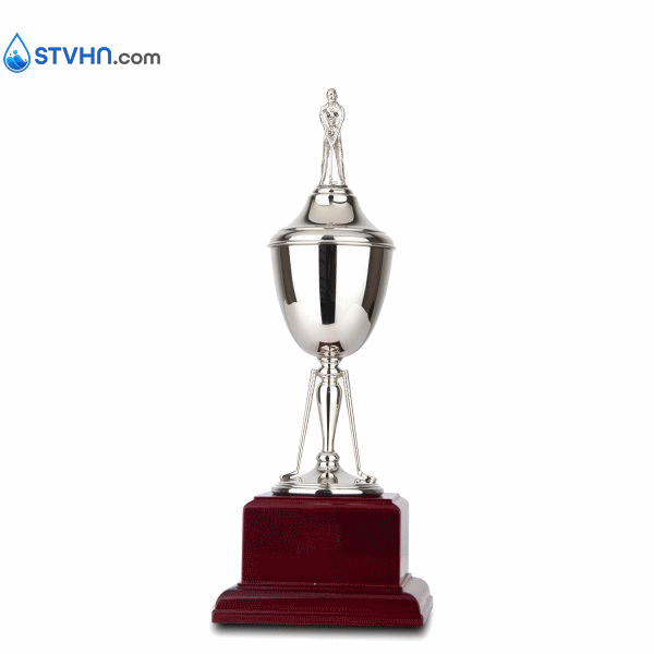 CÚP SWATKINS – 94B102