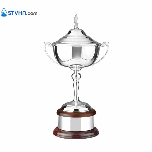 CÚP SWATKINS – MS1001