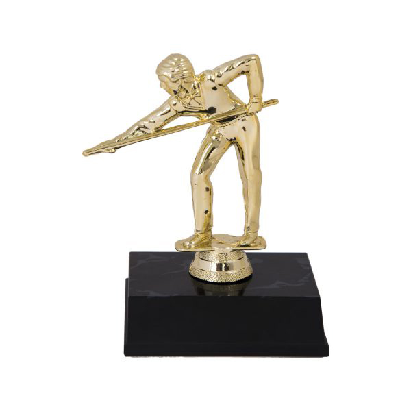 Biểu tượng Bi-a Junior