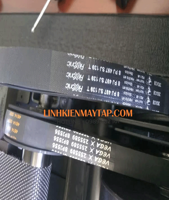 dây curoa máy chạy bộ