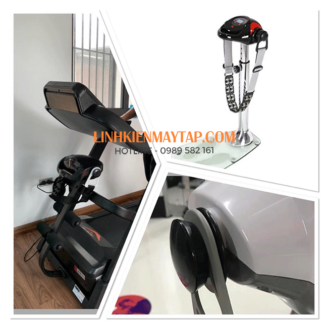 day dai may rung chay bo