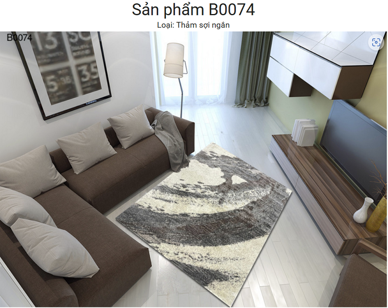 Thảm Trải Sàn