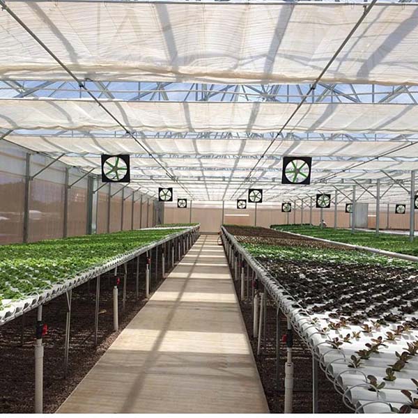 Nhà lưới là gì?