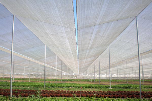 Lý do nên sử dụng nhà lưới giá rẻ