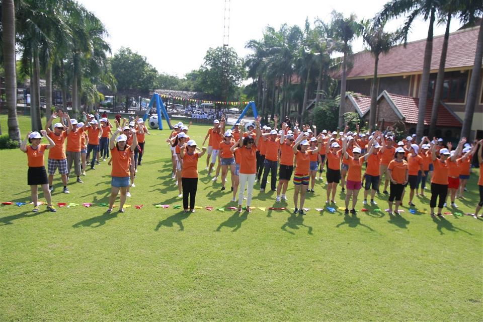 lựa chọn áo thun teambuilding ở vùng đồi cỏ