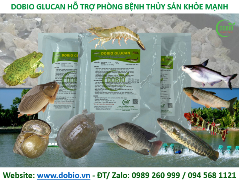 phòng bệnh hiệu quả cho thủy sản