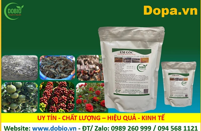 Chế phẩm EM dạng bột