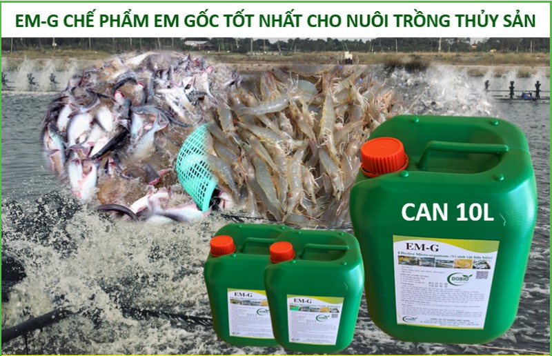 Chế phẩm EM gốc