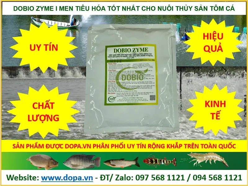 DOBIO ZYME là dòng men tiêu hóa được nhiều bà con tin dùng