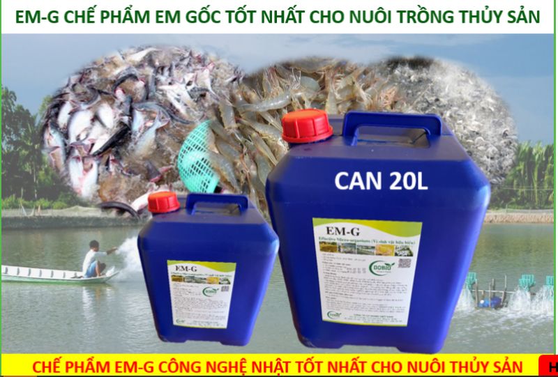 Sử dụng chế phẩm EM gốc