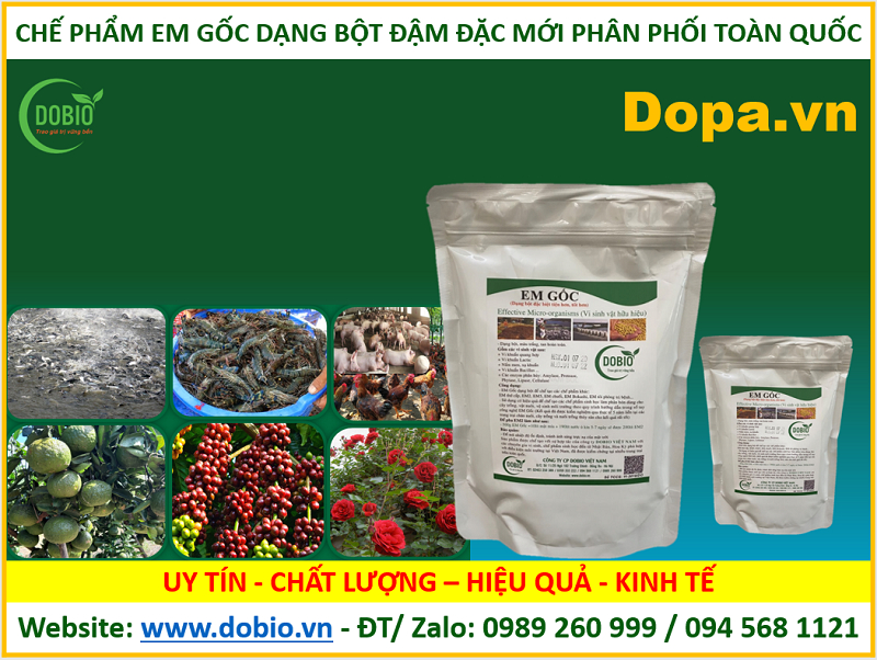 Men vi sinh gốc EM G của DOBIO