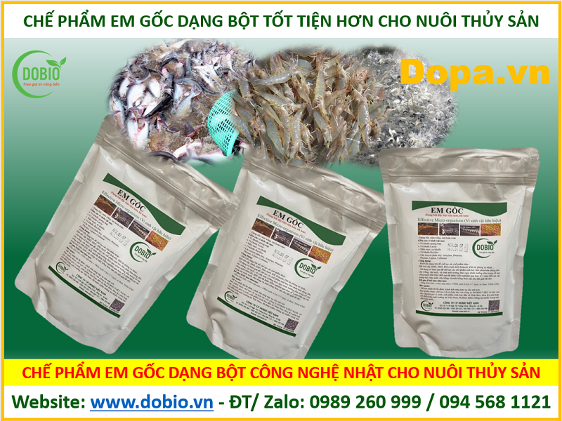 EM giúp nâng cao năng suất trong việc nuôi tôm, cá