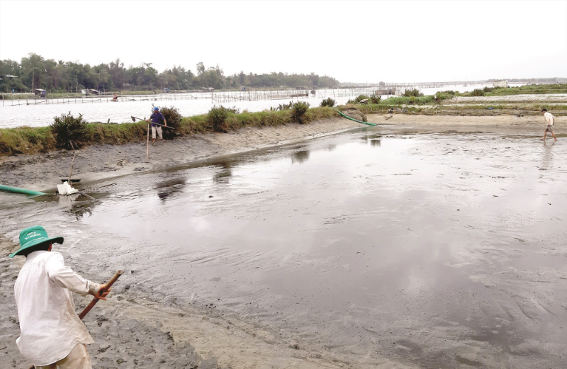 Dọn xong ao và phơi nắng 7-10 ngày thì bà con cho nước vào