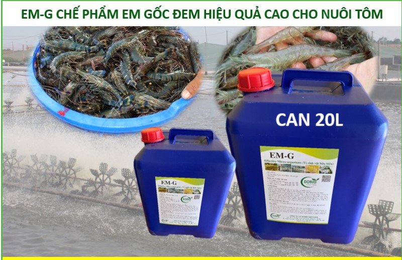 Tiêu chí để đánh giá