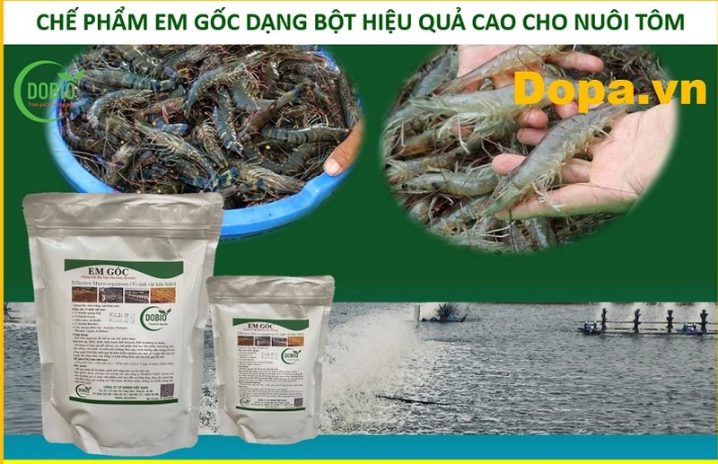 Ưu điểm mà EM gốc dạng bột mang lại