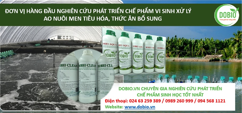 Dobio.vn là đơn vị cung cấp uy tín