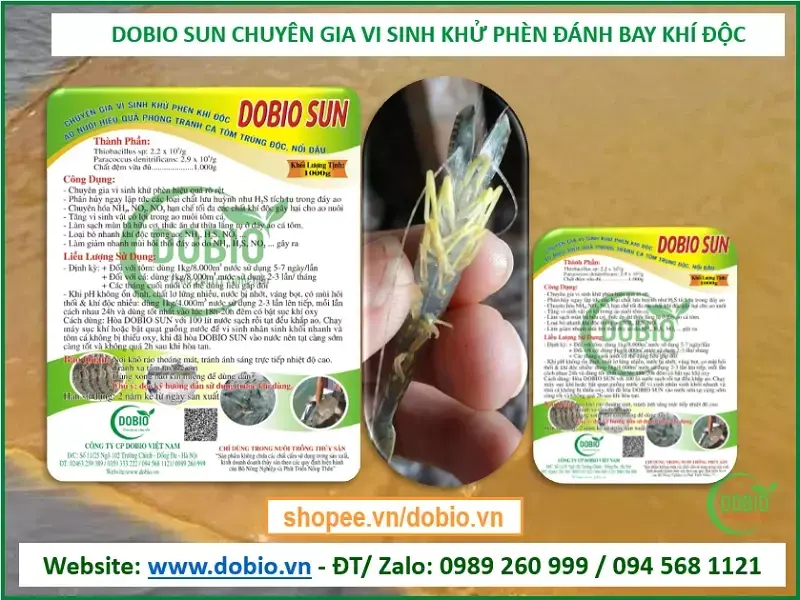 DOBIO SUN - men vi sinh khử phèn đánh bay khí độc cho ao nuôi tôm cá