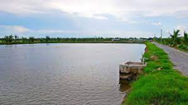 Gây màu nước vô cùng khó