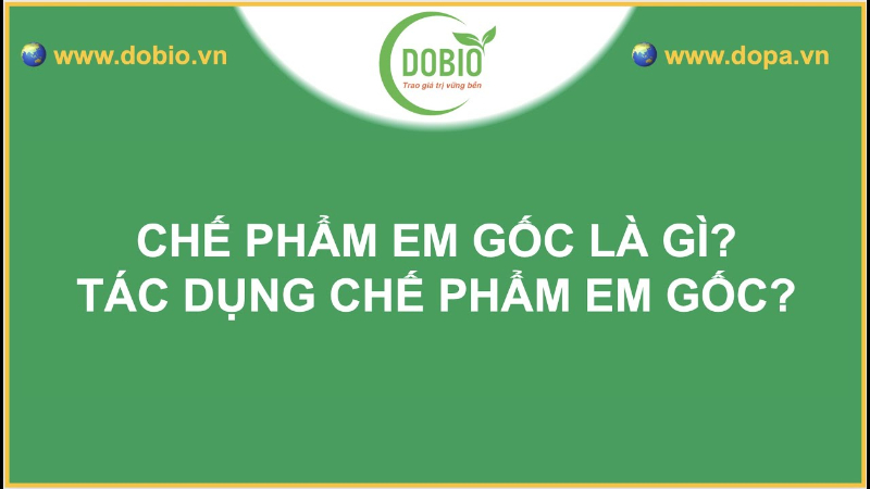 Dobio.vn là địa chỉ đáng tin cậy