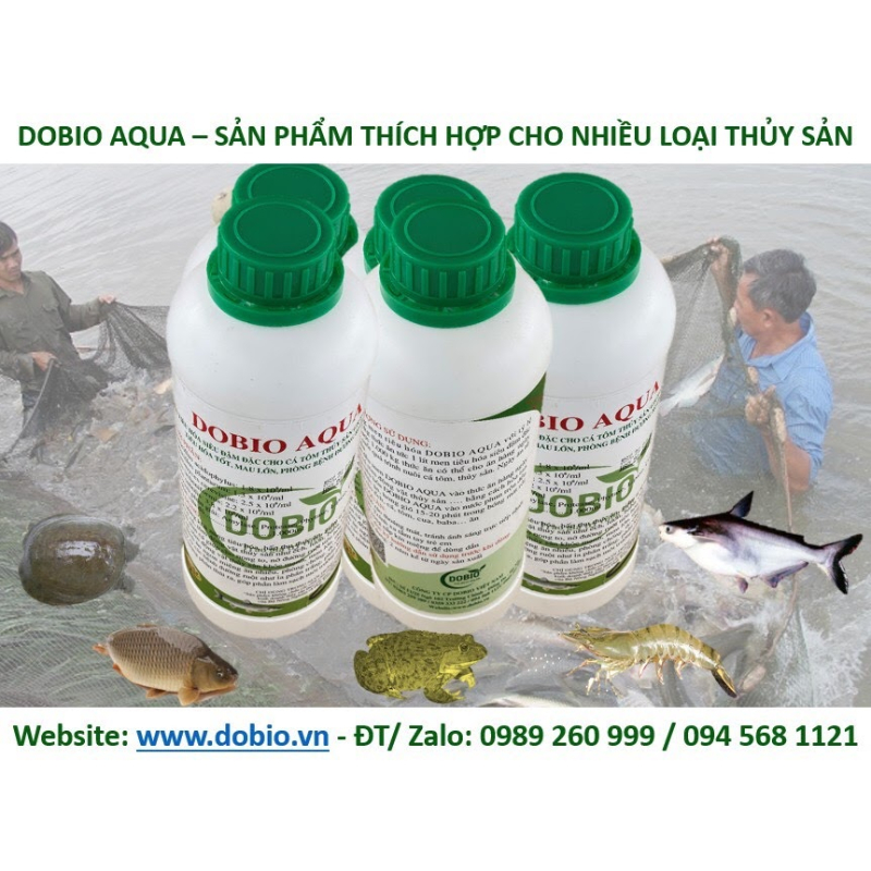 Sản phẩm chuyên dùng cho các loại cá cảnh, cá Koi,...