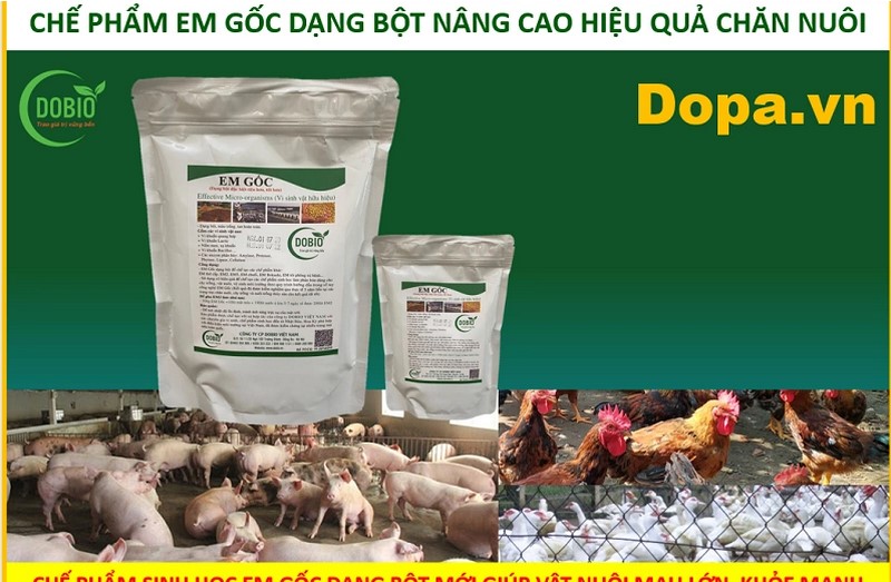 có liều lượng pha chế phù hợp