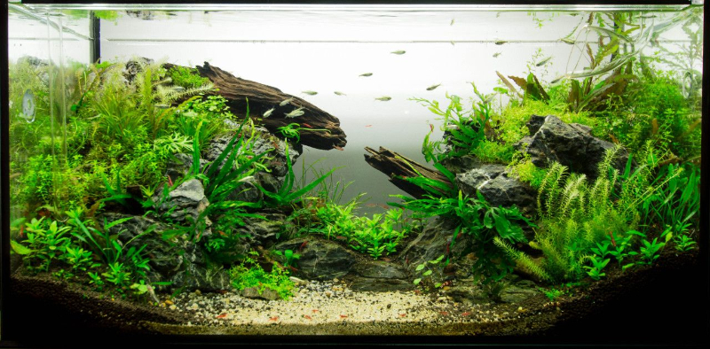 DOBIO là địa chỉ bạn nên tin tưởng