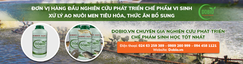 Chuyên gia nghiên cứu phát triển chế phẩm men vi sinh