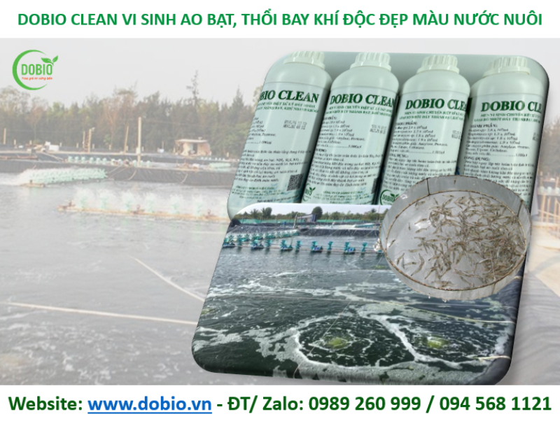 Men vi sinh xử lý nhớt đáy ao DOBIO CLEAN