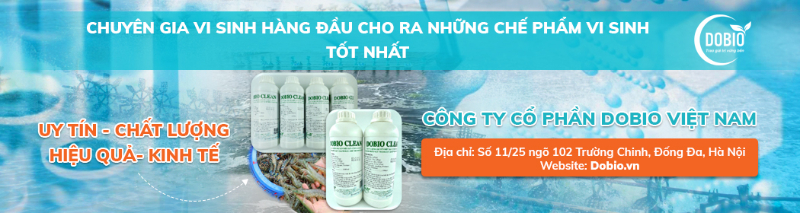 DOBIO - người bạn đồng hành