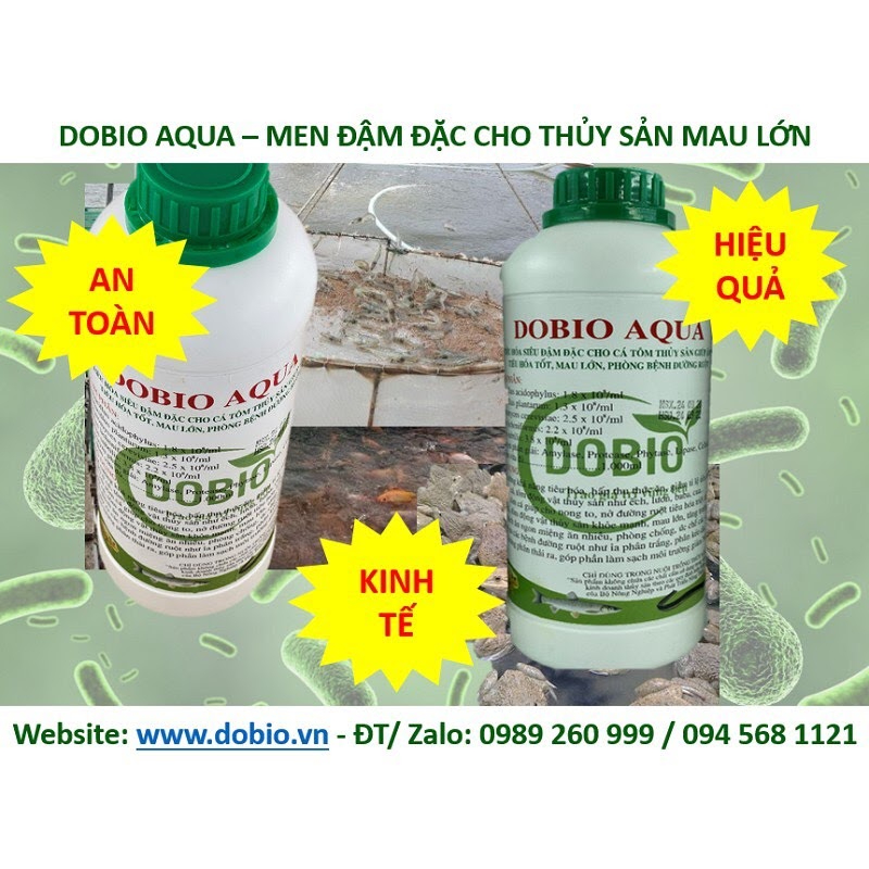 Chế phẩm men tiêu hóa DOBIO AQUA