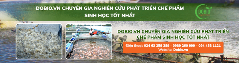 Hàng trăm các chế phẩm sinh học