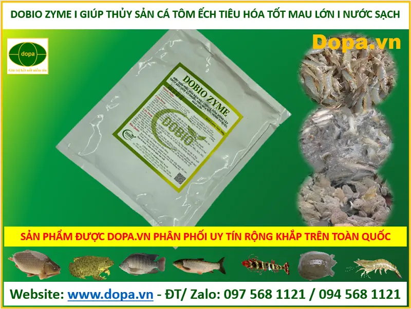 DOBIO ZYME được điều chế dưới dạng bột đậm đặc, đóng gói 500gr rất tiện lợi 