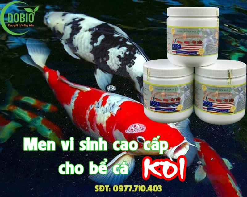 Men vi sinh cho cá cảnh DOBIO SUPER KOI