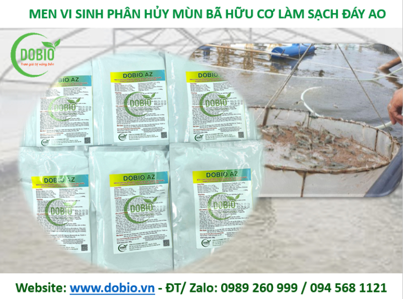 DOBIO AZ -men vi sinh xử lý nước ao nuôi tôm bị ô nhiễm hiệu quả của DOBIO